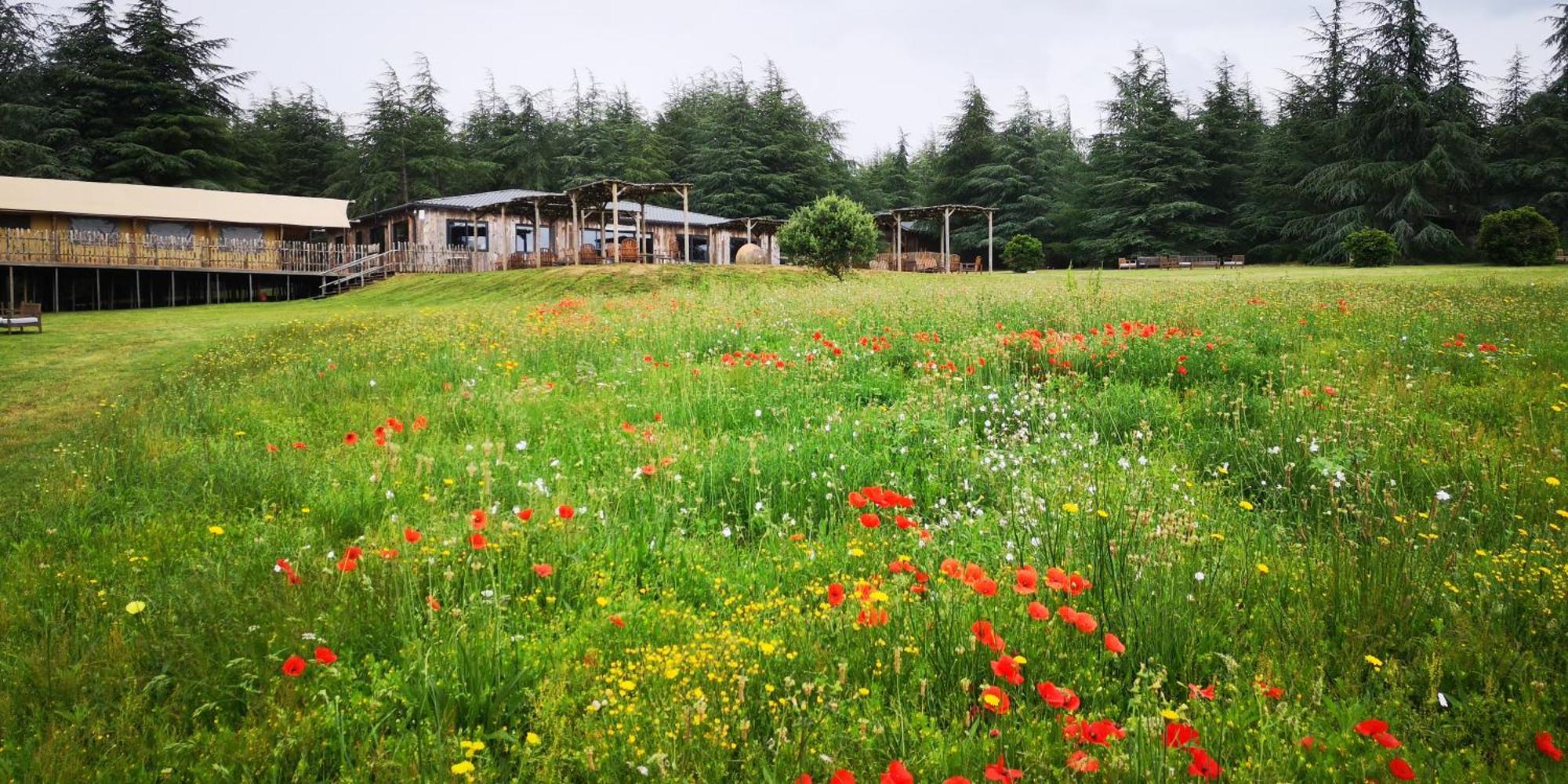 Domaine De La Vitarelle Glamping Villaniere エクステリア 写真