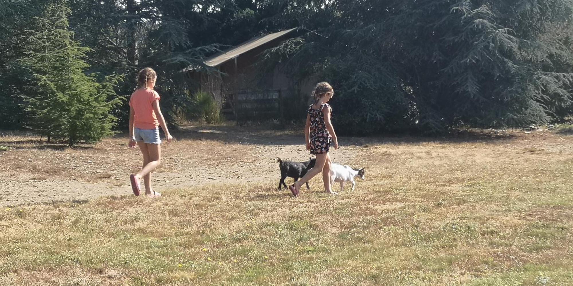 Domaine De La Vitarelle Glamping Villaniere エクステリア 写真