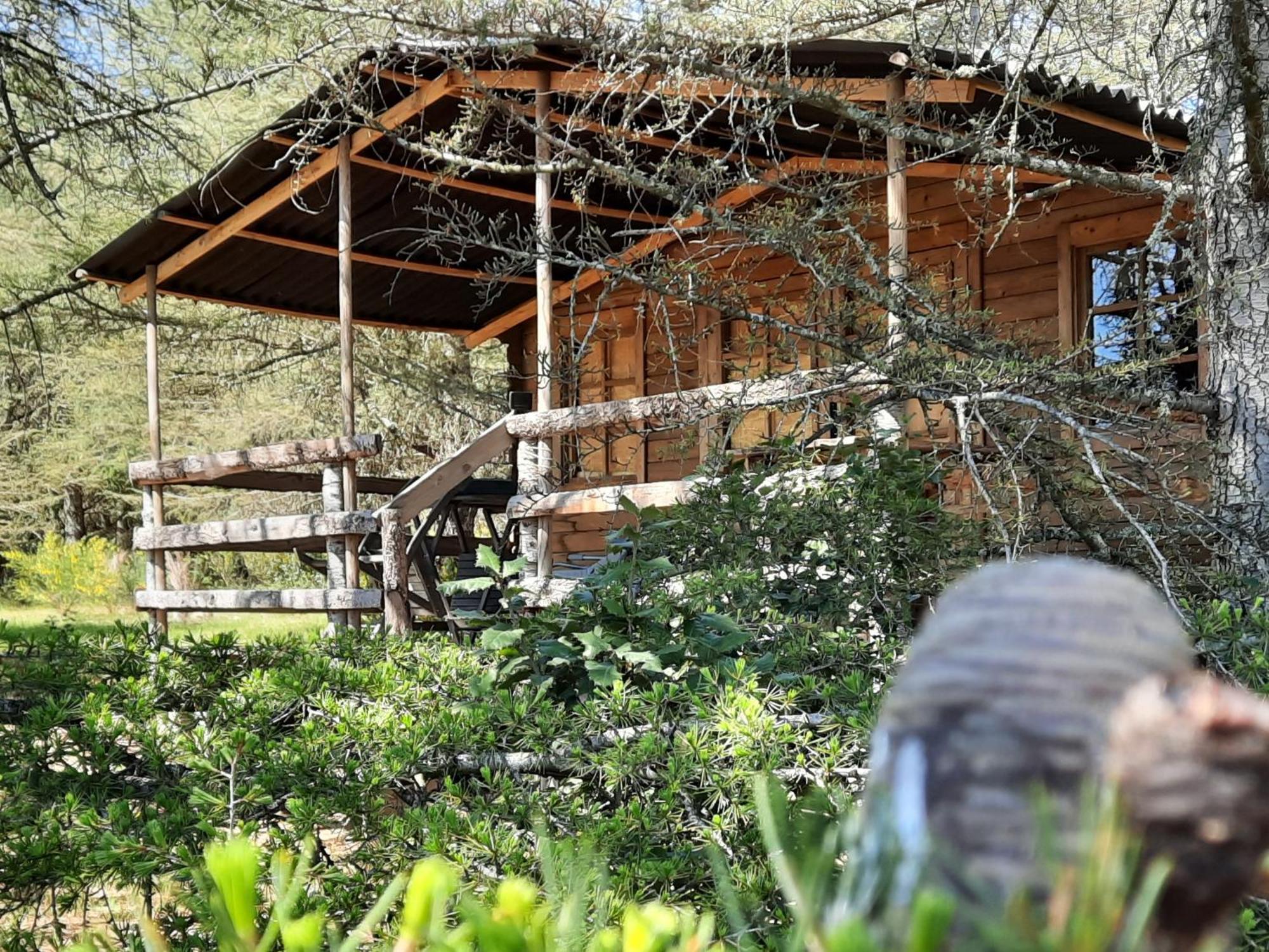 Domaine De La Vitarelle Glamping Villaniere エクステリア 写真