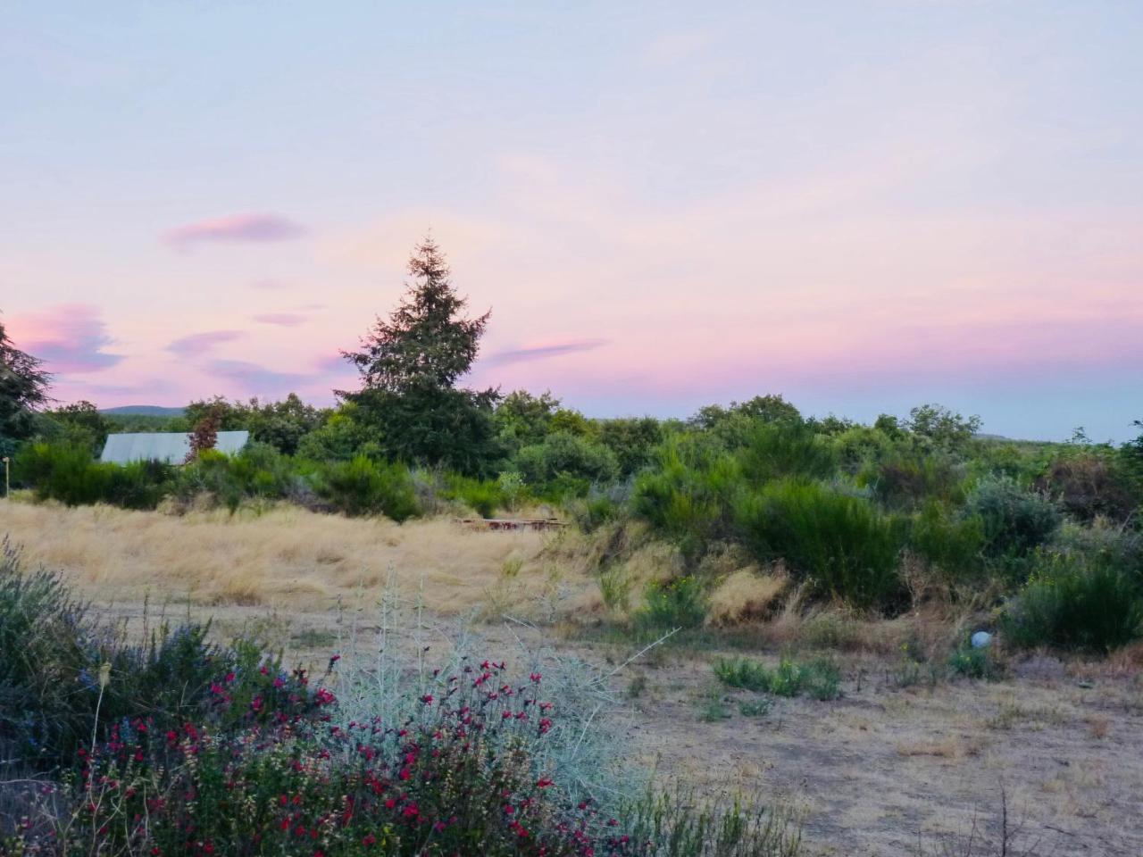 Domaine De La Vitarelle Glamping Villaniere エクステリア 写真